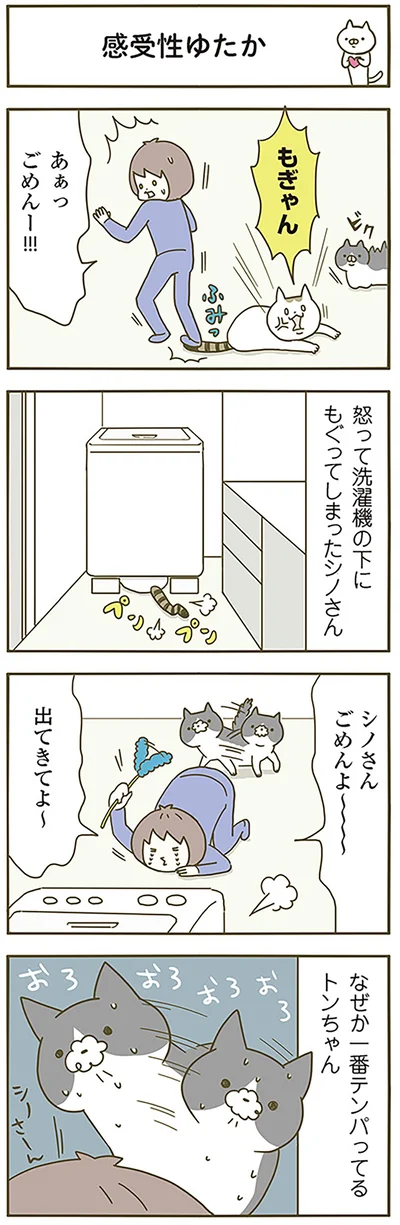 『うちの猫がまた変なことしてる。』より