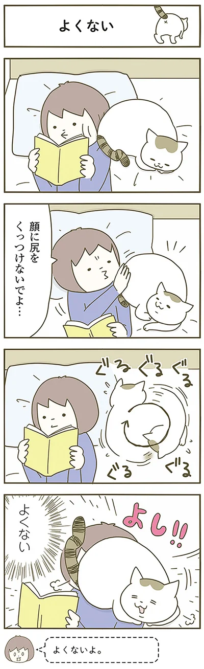 『うちの猫がまた変なことしてる。』より