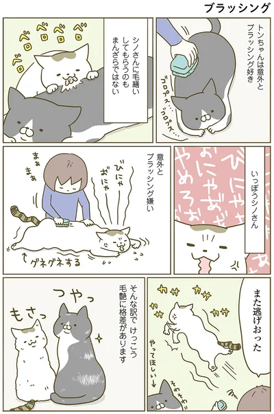 『うちの猫がまた変なことしてる。』より