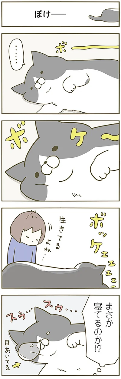 『うちの猫がまた変なことしてる。』より