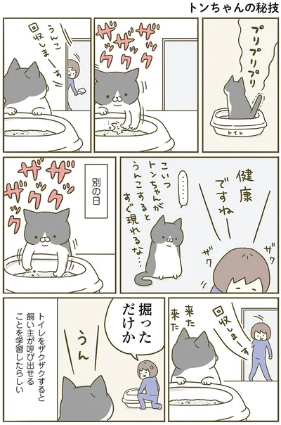 『うちの猫がまた変なことしてる。』より