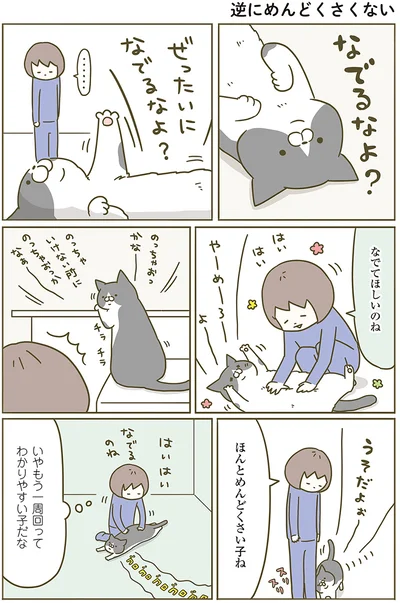 『うちの猫がまた変なことしてる。』より