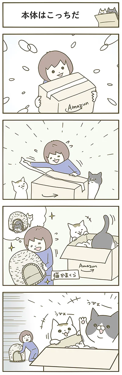 『うちの猫がまた変なことしてる。』より