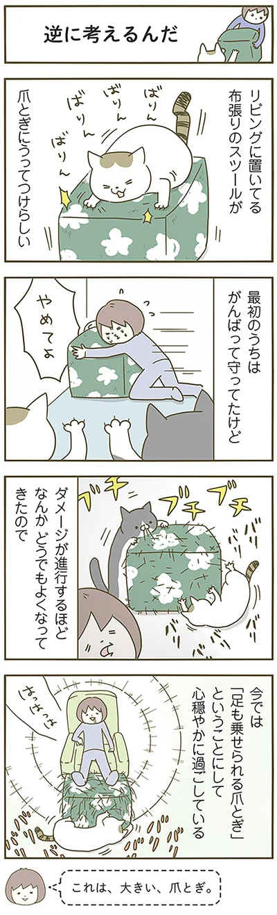 『うちの猫がまた変なことしてる。』より