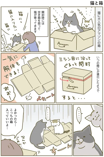 『うちの猫がまた変なことしてる。』より