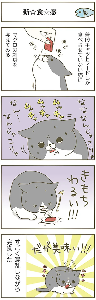 『うちの猫がまた変なことしてる。』より