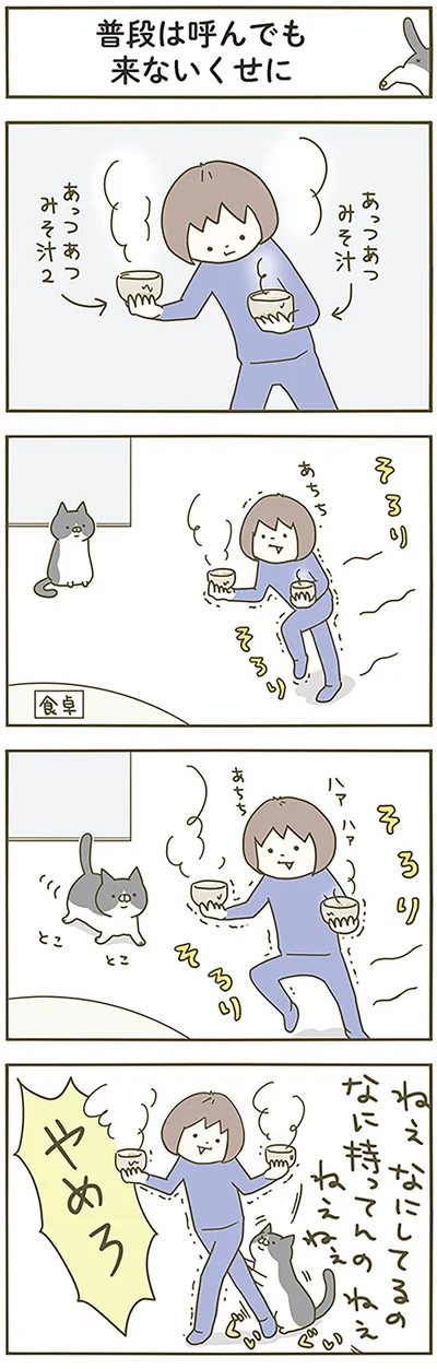 『うちの猫がまた変なことしてる。』より