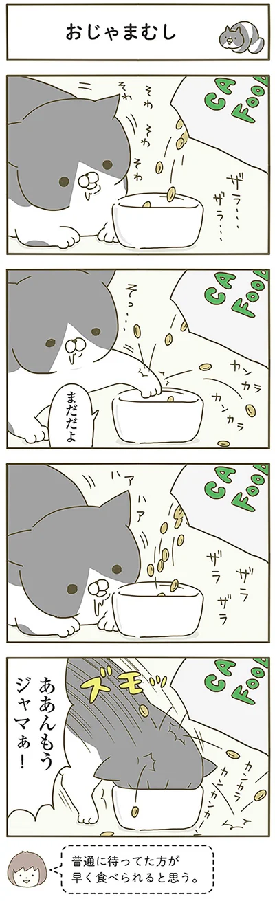 『うちの猫がまた変なことしてる。』より