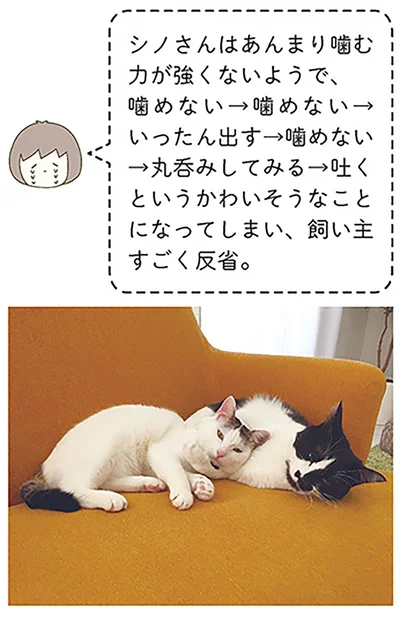 『うちの猫がまた変なことしてる。』より