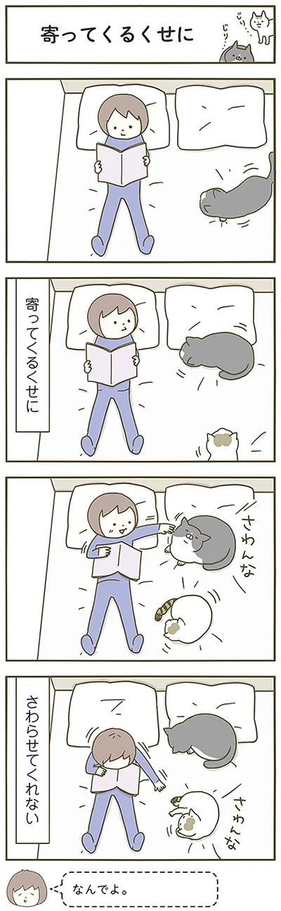 『うちの猫がまた変なことしてる。』より