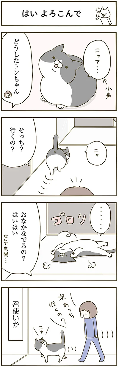 『うちの猫がまた変なことしてる。』より