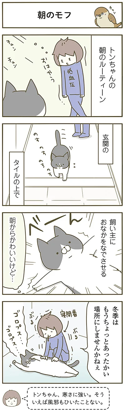 『うちの猫がまた変なことしてる。』より