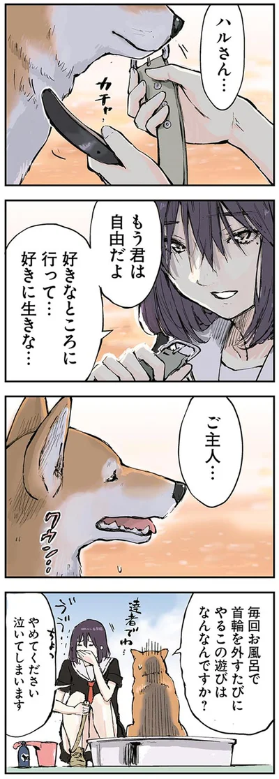 もう君は自由だよ
