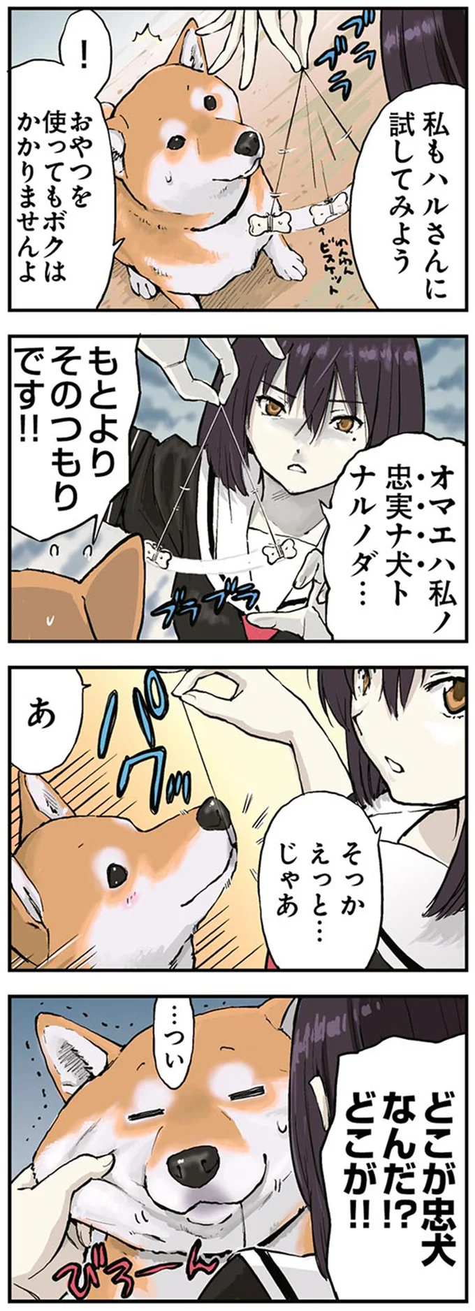 どこが忠犬なんだ！？
