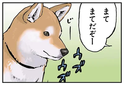 まてだぞー