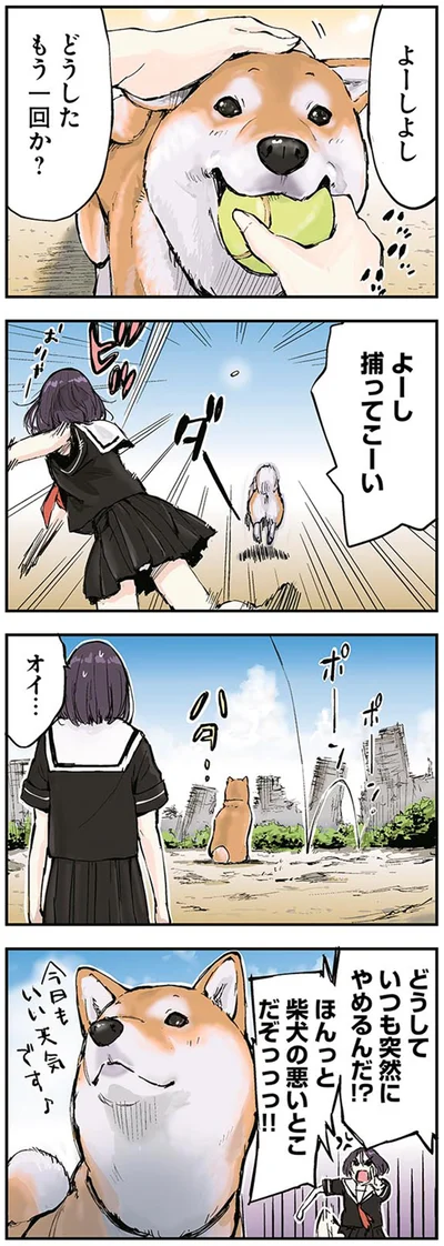 よーし　捕ってこーい