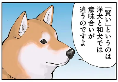 「賢い」というのは洋犬と和犬では意味合いが違うのですよ