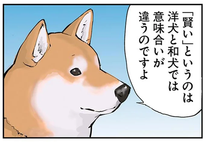 「賢い」というのは洋犬と和犬では意味合いが違うのですよ