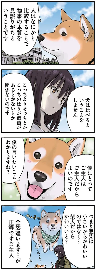 犬は比べるということをしません