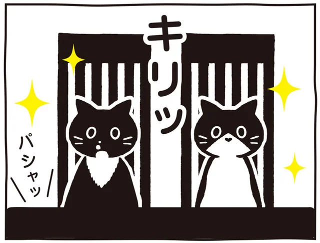 撮影のお声がかかれば瞬時にスイッチON！プロ意識高めな白黒猫ツインズ／マルとオレオ ふたりはなかよし（1）