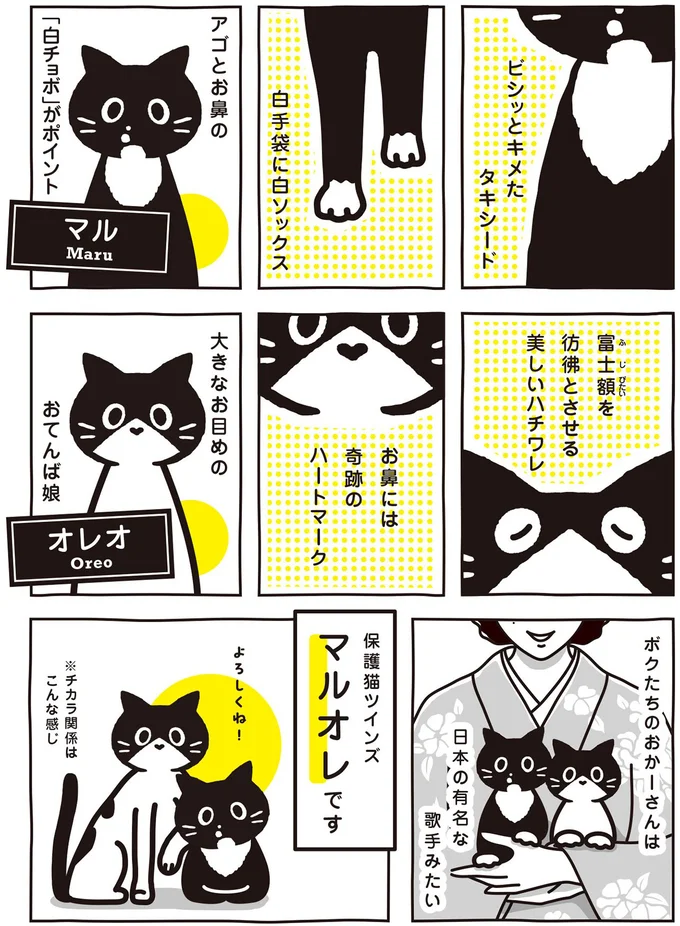 はじめまして