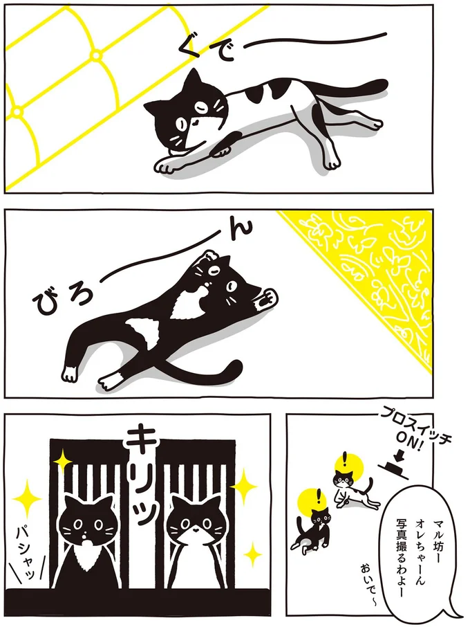 写真撮るわよー