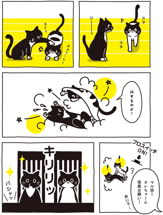 写真お願い！