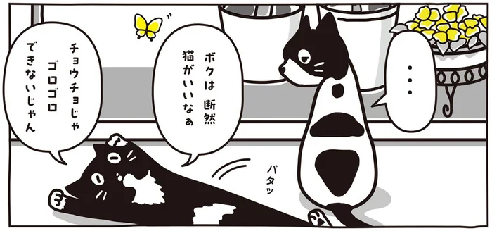 「ボクは断然猫がいいなぁ」白黒猫ツインズの前に現れたベランダの訪問者／マルとオレオ ふたりはなかよし（2）