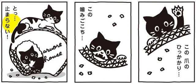 あっという間にリフォーム完了!?白黒猫ツインズを虜にするプレゼント／マルとオレオ ふたりはなかよし（3）