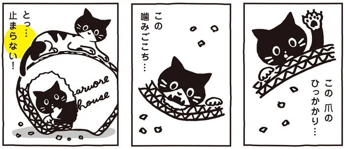 あっという間にリフォーム完了!?白黒猫ツインズを虜にするプレゼント／マルとオレオ ふたりはなかよし（3）