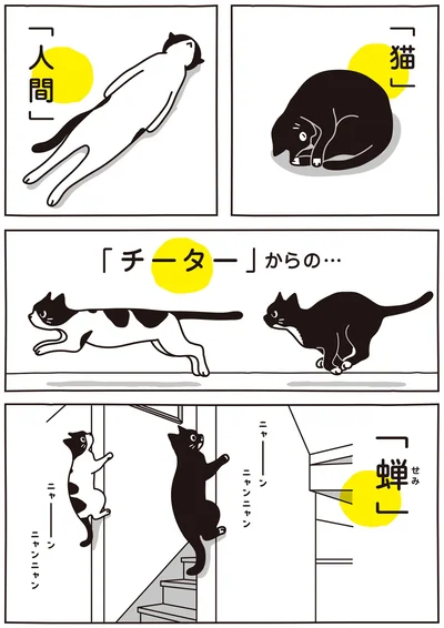 「猫」「人間」
