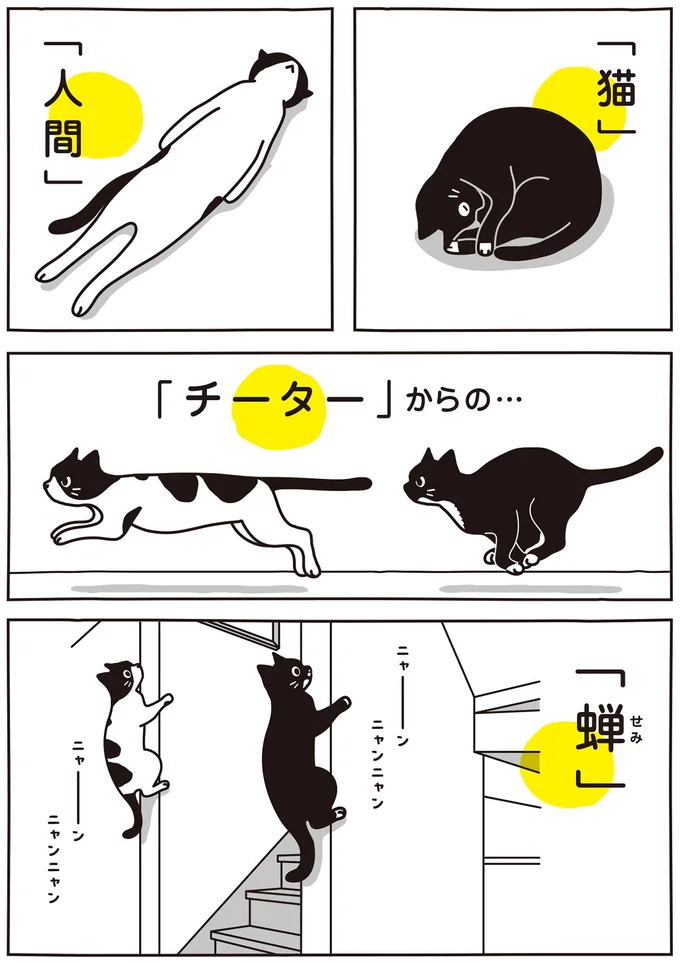 「猫」「人間」