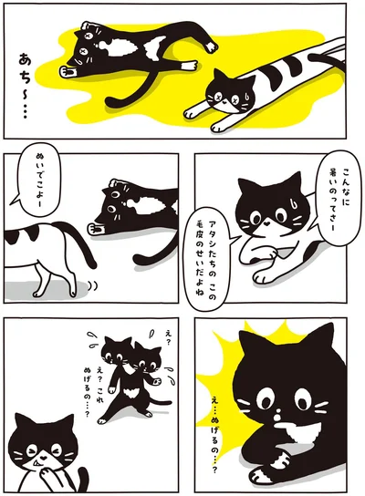 ぬいでこよー