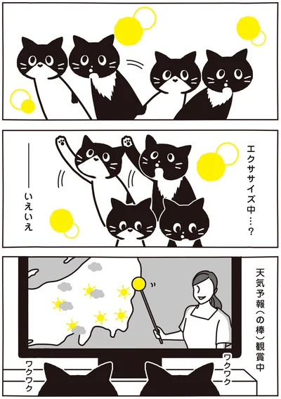 エクササイズ中…？