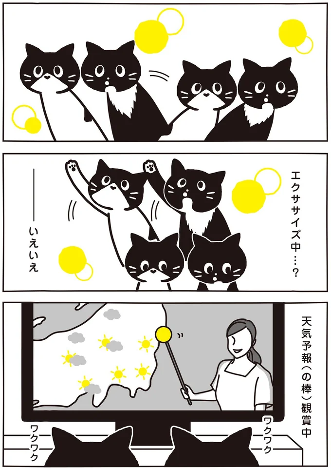 エクササイズ中…？