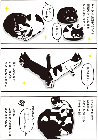寝ているだけでおかーさんがよろこんでくれます