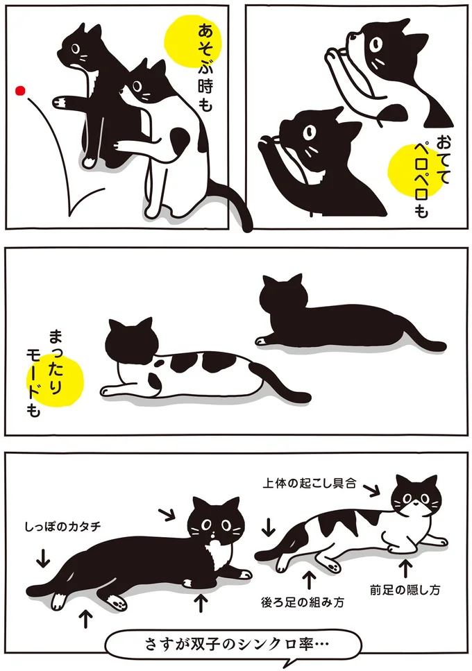 さすが双子のシンクロ率…