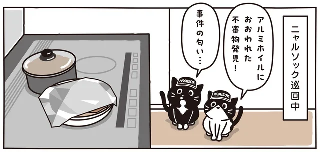 これは事件の匂い!?巡回中の猫たちが嗅ぎつけた不審物とは／マルとオレオ ふたりはなかよし（5）