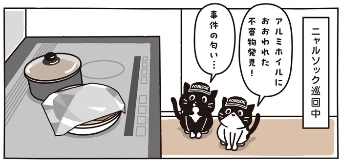 これは事件の匂い!?巡回中の猫たちが嗅ぎつけた不審物とは／マルとオレオ ふたりはなかよし（5）