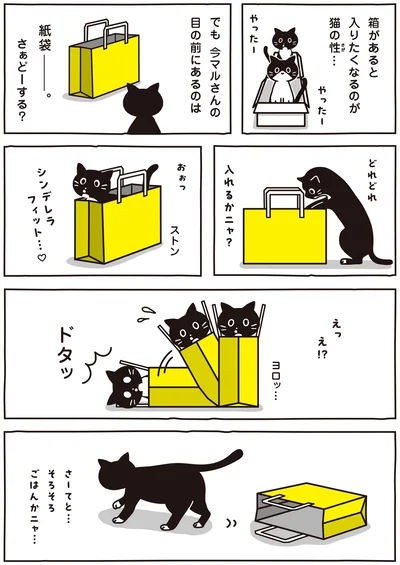 さぁどーする？