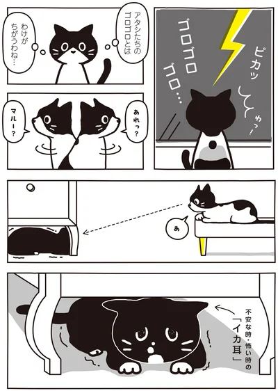 アタシたちのゴロゴロとはわけがちがうわね…