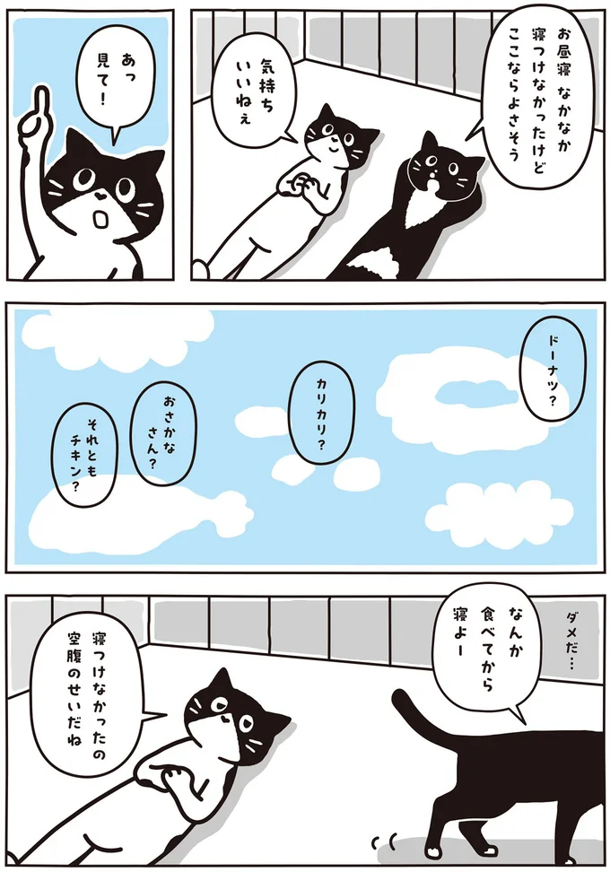 あっ見て！