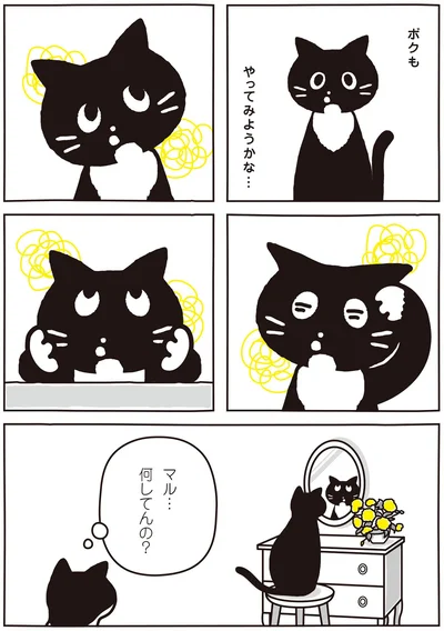 ボクもやってみようかな…