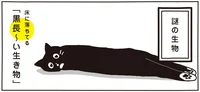 もはや謎の生物？生き物図鑑にも載っていない個体とは