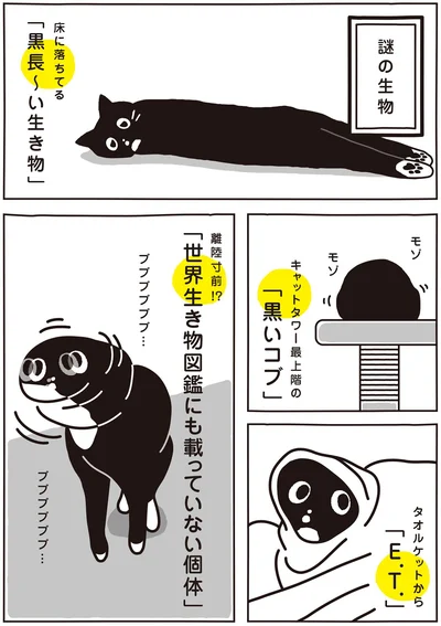 「世界生き物図鑑にも載っていない個体」
