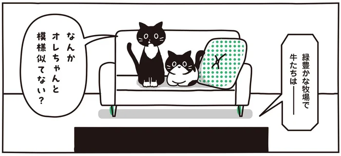 「なんか模様似てない？」猫に前世を思い起こさせた動物とは／マルとオレオ ふたりはなかよし（8）