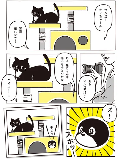 写真撮らせて～