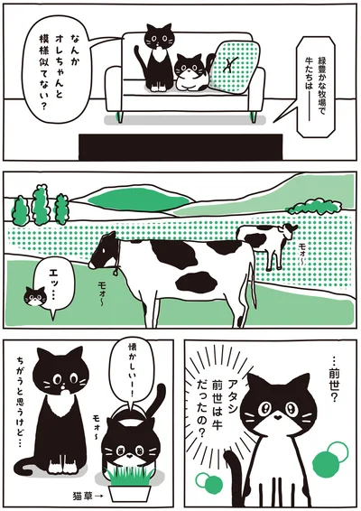 アタシ前世は牛だったの？