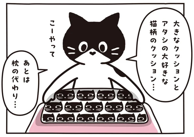 枕の代わりになったのは？猫のお昼寝に欠かせないアイテムたち／マルとオレオ ふたりはなかよし（10）