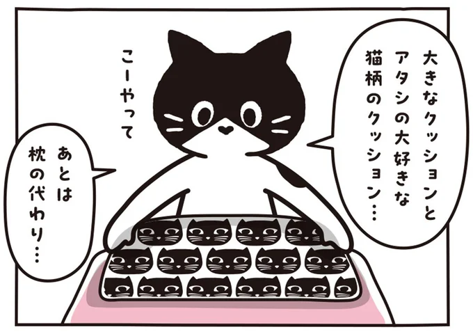 あとは枕の代わり…